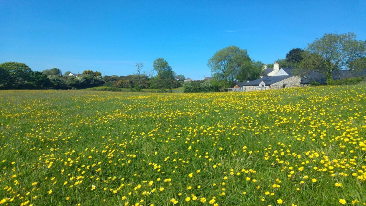 The Barn At Cae Bach Villa Gwalchmai Bagian luar foto